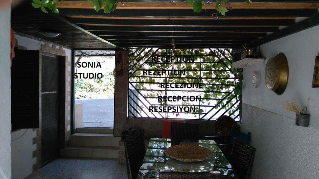 Sonia Studios Νέες Κυδωνίες Εξωτερικό φωτογραφία