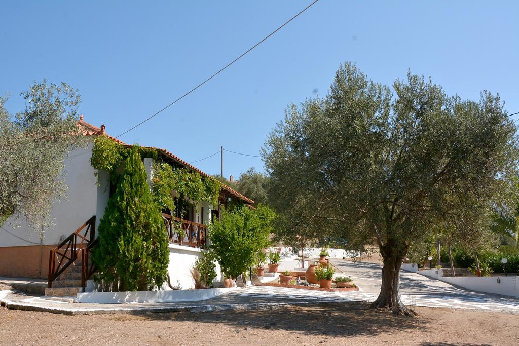Sonia Studios Νέες Κυδωνίες Εξωτερικό φωτογραφία